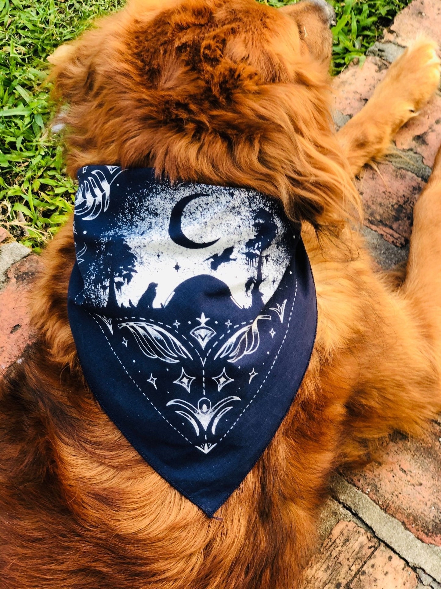 Louisiana At Night Dog Bandana - Dirty Coast Press