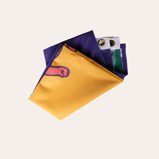 King Cake Baby Flag - Dirty Coast